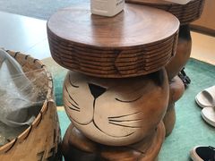 -飞行喵MR PILOT|猫舍·猫咖(静安大融城店)