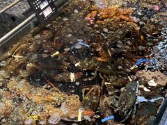 -海鲜e族(马王堆店)