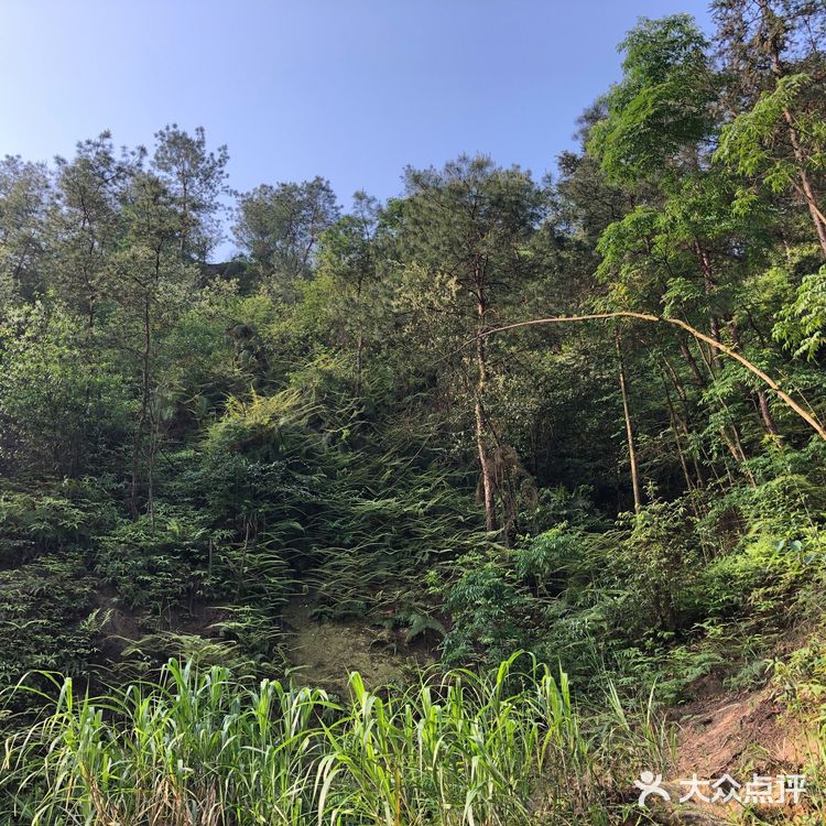 大学城附近杨家沟水库,你值得前来一探!