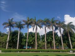 -三亚海棠湾万丽度假酒店