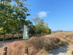 -良渚古城遗址公园