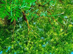 -酷鱼垂钓CLUB(朝阳区博大路店 )