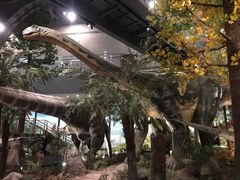 -湖南省地质博物馆