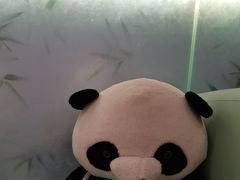 -眉州东坡·熊猫主题餐厅(枫蓝店)