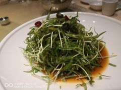 -森谷美食公园(杨行店)