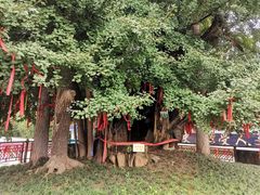 -终南山古楼观历史文化景区