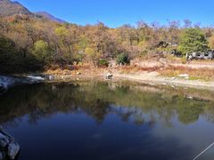 -阳台山自然风景区