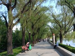 -长春市南湖公园