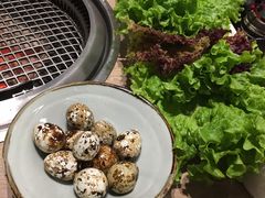 包菜生菜拼盘-好牛烧肉(世茂广场店)