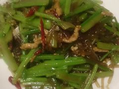 -鸭味飞飞