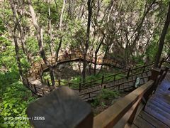 -大岭沟猕猴桃谷风景区