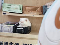 -全心全意动物诊疗中心医院(北苑店)