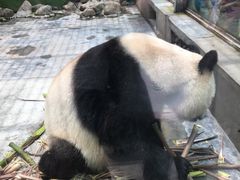 -西安秦岭野生动物园