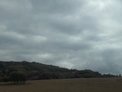 -御道口草原森林风景区
