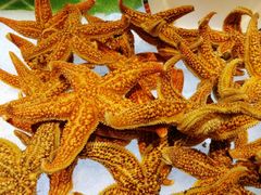 -雄楚国际大酒店-四季西餐厅