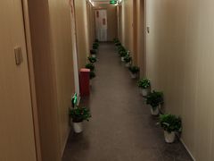 -青曼SPA·按摩·采耳·足道(龙之梦店)
