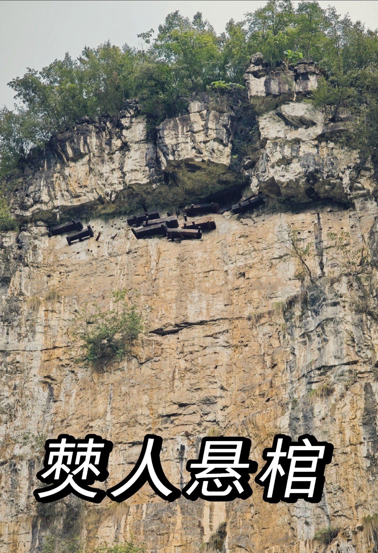 密恐慎入,僰人咋把棺材放上去的!