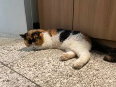 -谷咖啡·鲜花绿植花园餐厅