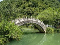 -靖西鹅泉风景区