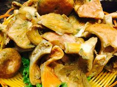 -菌海森林·非遗野生菌火锅(西山区滇池路摩根道店)