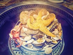 -锅老头海鲜铁锅炖