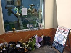 -青藏高原野生动物园