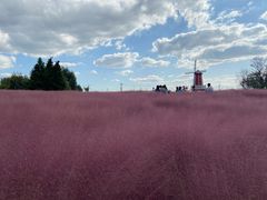 -羊亭河湿地公园