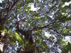 -娜娜度假小旅馆