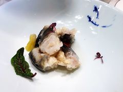 泡椒河豚鱼唇-鲐赏河豚(长寿店)
