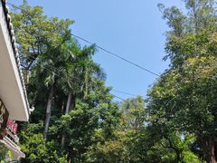 -南宁南湖公园