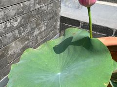 -李叔同故居纪念馆
