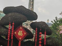 -南山植物园