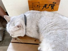 -冰拾叁(新都店)