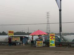 -尚田草莓姑娘白草莓采摘基地