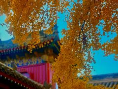 -承恩寺