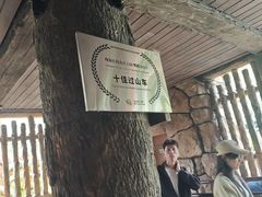 -珠海长隆海洋王国-鹦鹉过山车