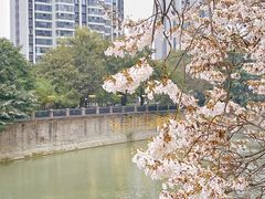 -红星桥(地铁站)