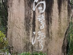 -白鹭湾湿地公园