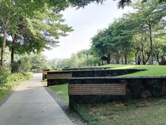 -王借岗森林公园