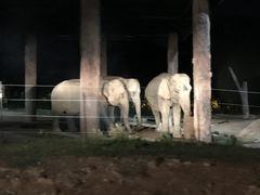 -清迈夜间动物园