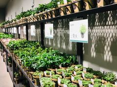 -鹿岛会员店 (龙湖三千集天街店)