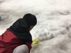 -Mr·Kuma酷么先生雪之乐园