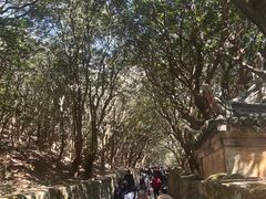 -普陀山慧济禅寺