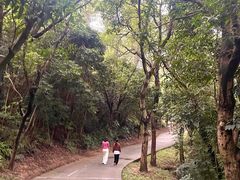 -燕晗山郊野公园