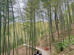 -藏龙百瀑风景区