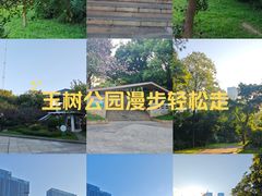 -玉树公园