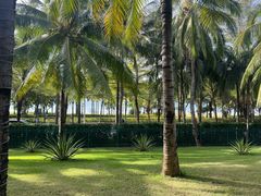 -三亚湾海居铂尔曼度假酒店