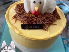 -莎琳娜食品有限公司·蛋糕店