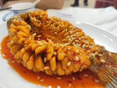 -津津菜馆(绝没分店)