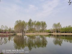 -东郊湿地公园